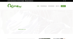 Desktop Screenshot of cosmolaundry.com